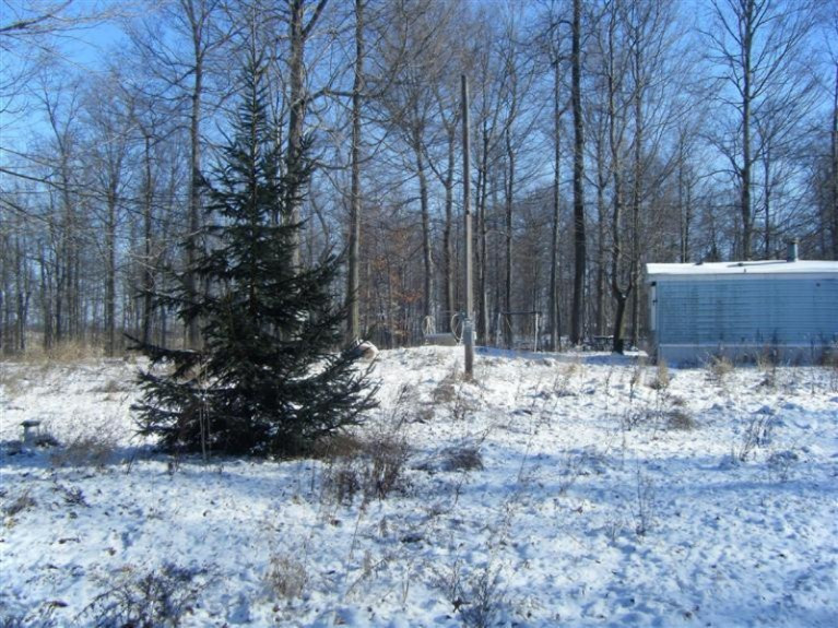 911 Phillip Road Montgomery, MI 49255 - Photo 15 of 15 Additional Photo
