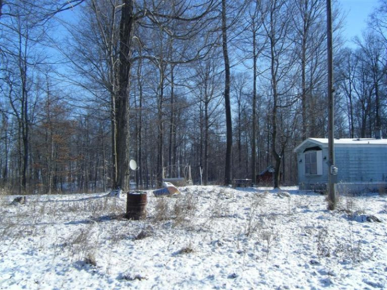 911 Phillip Road Montgomery, MI 49255 - Photo 3 of 15 Additional Photo