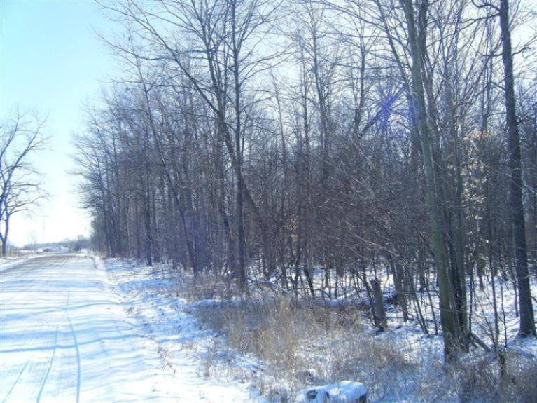 911 Phillip Road Montgomery, MI 49255 - Photo 4 of 15 Additional Photo