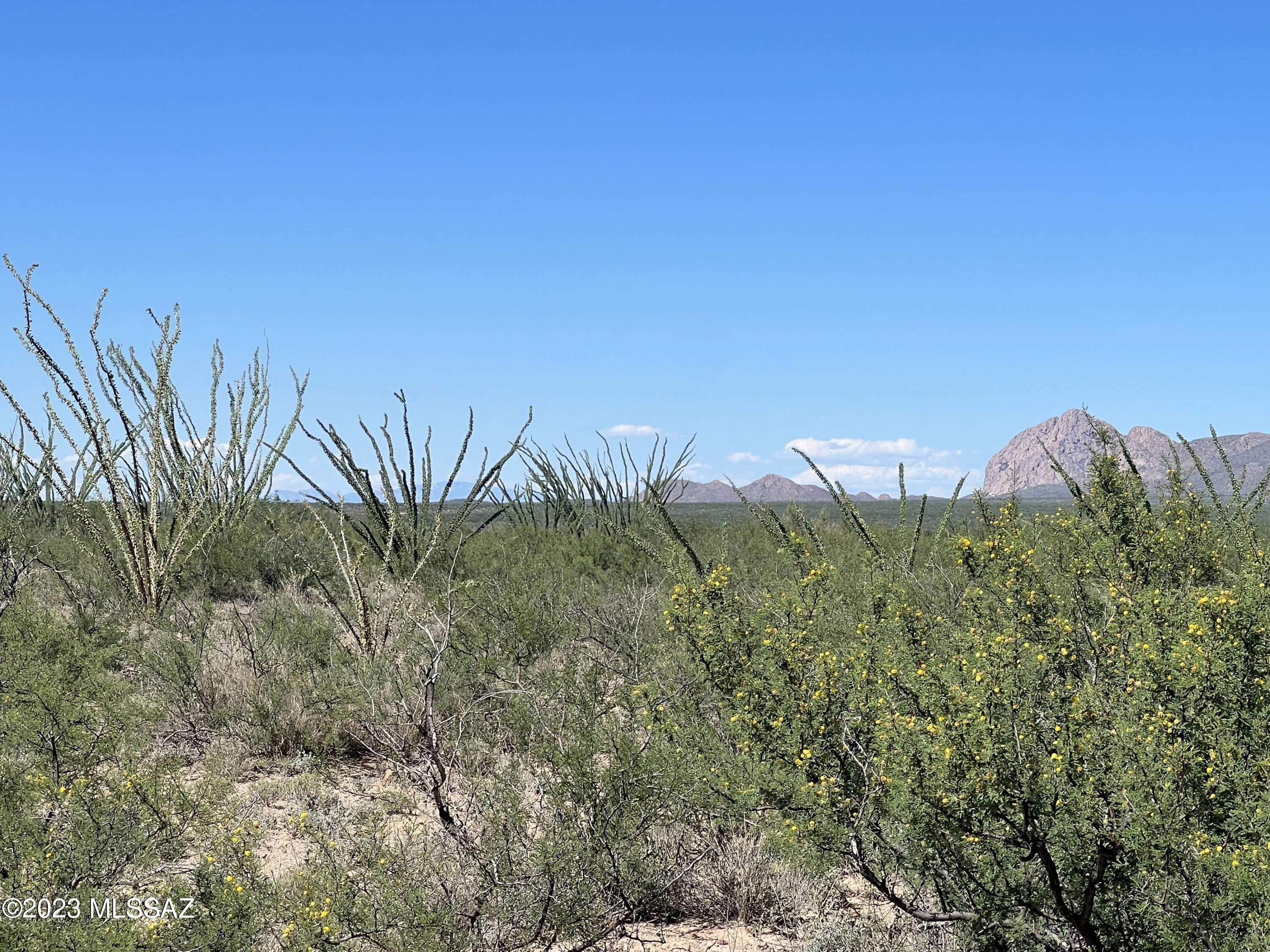 Tbd Camino Nacozari, Unit 71 Rio Rico, AZ 85648 - Photo 4 of 19 Desert Landscape