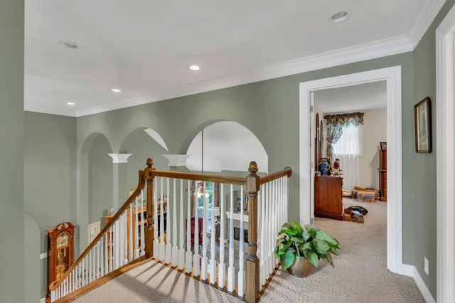 a view of a lush green forest