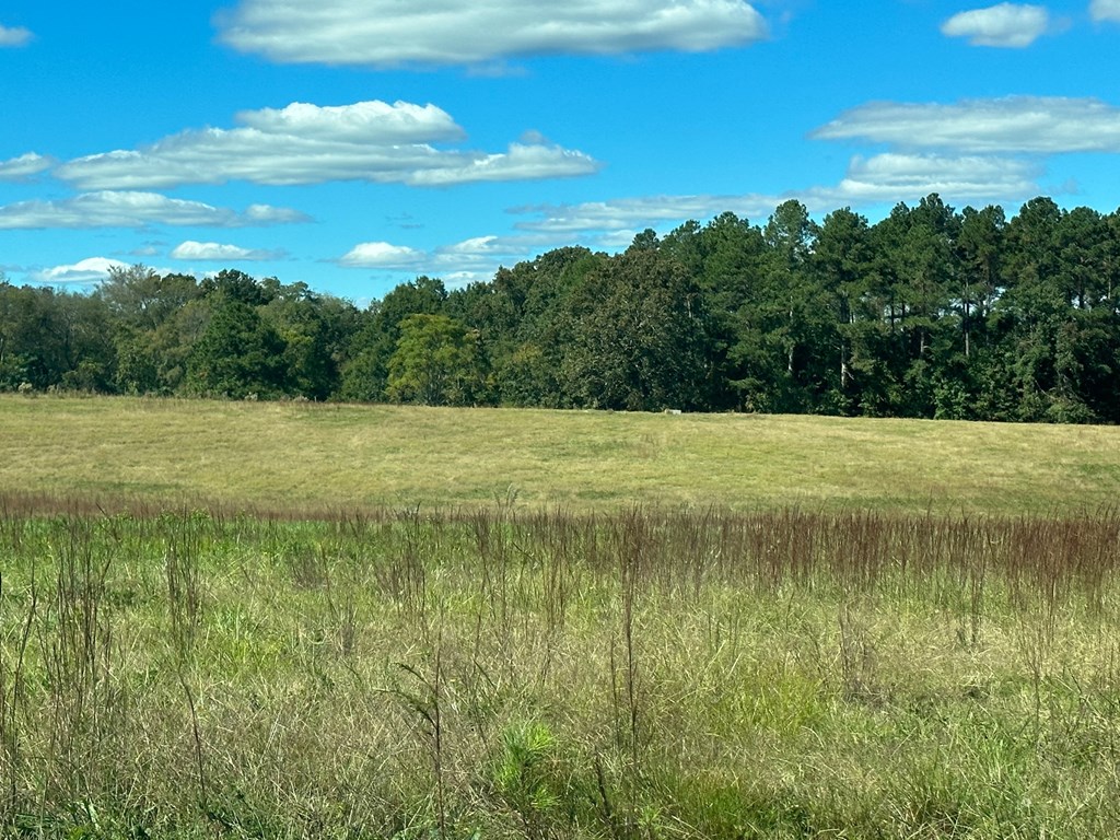 0 Highway 39 Chappells, SC 29037 - Photo 14 of 33 Gallery Image 14