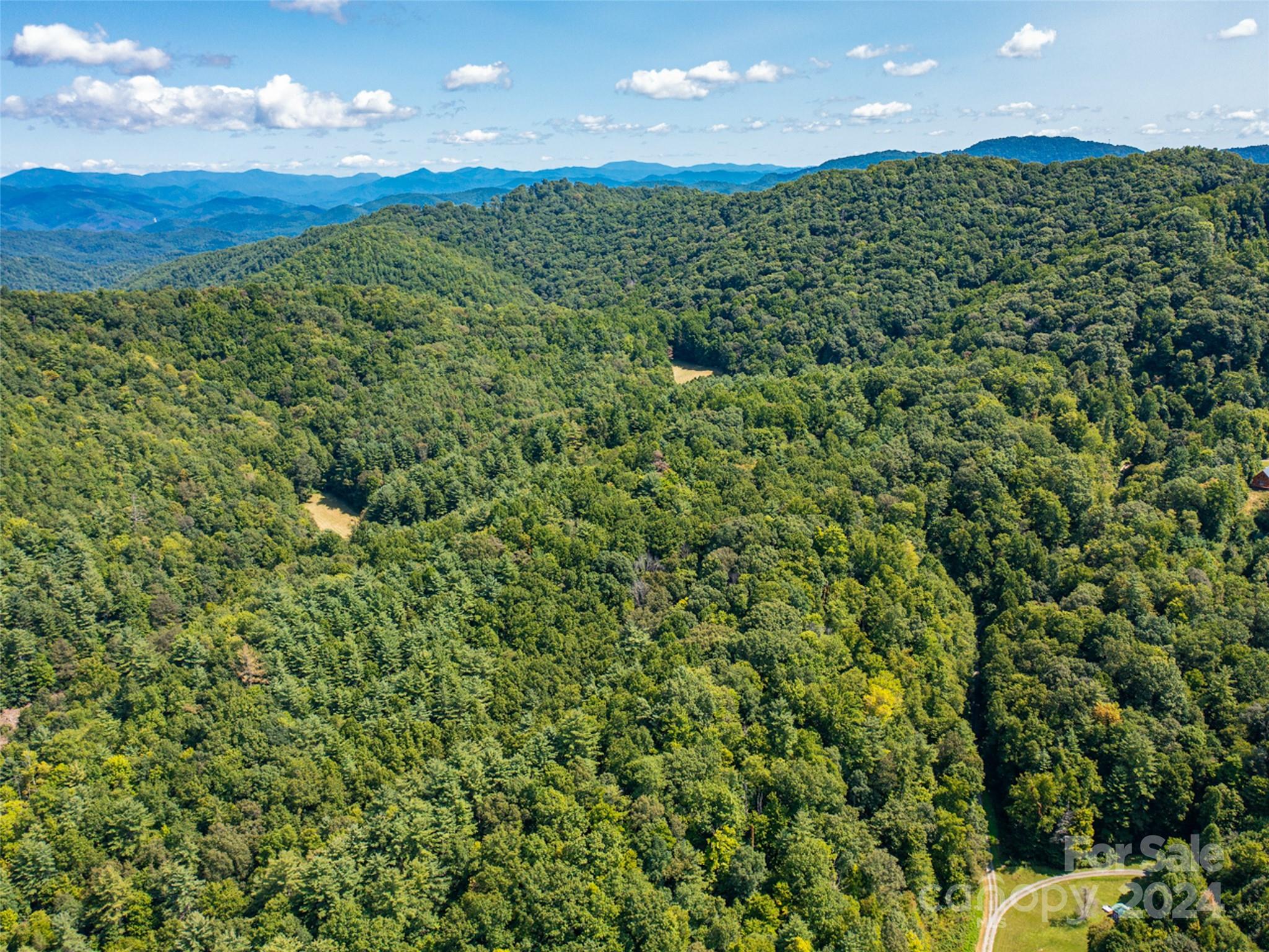 0 Meadow Fork School Road Hot Springs, NC 28743 - Photo 12 of 25