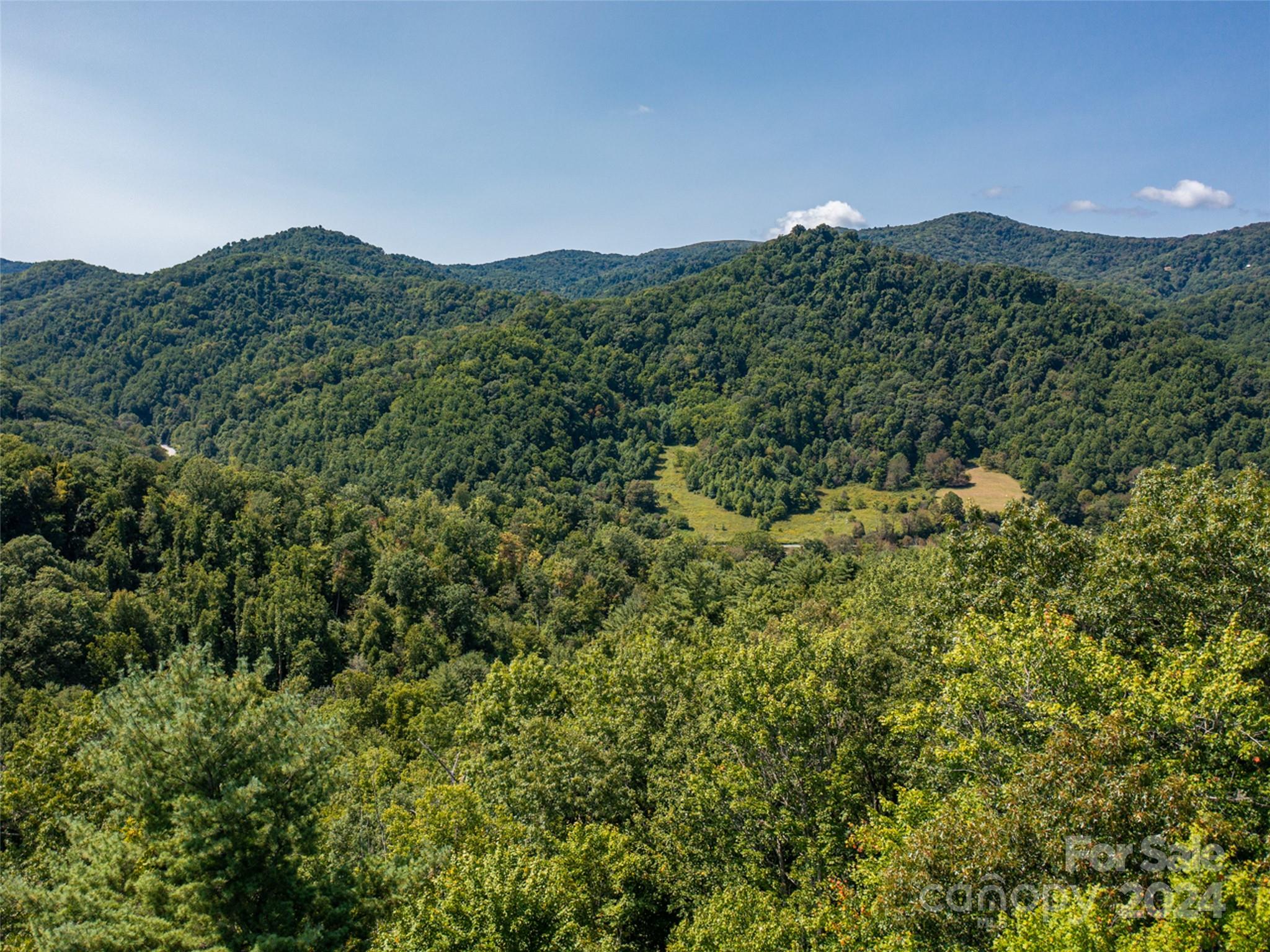 0 Meadow Fork School Road Hot Springs, NC 28743 - Photo 13 of 25