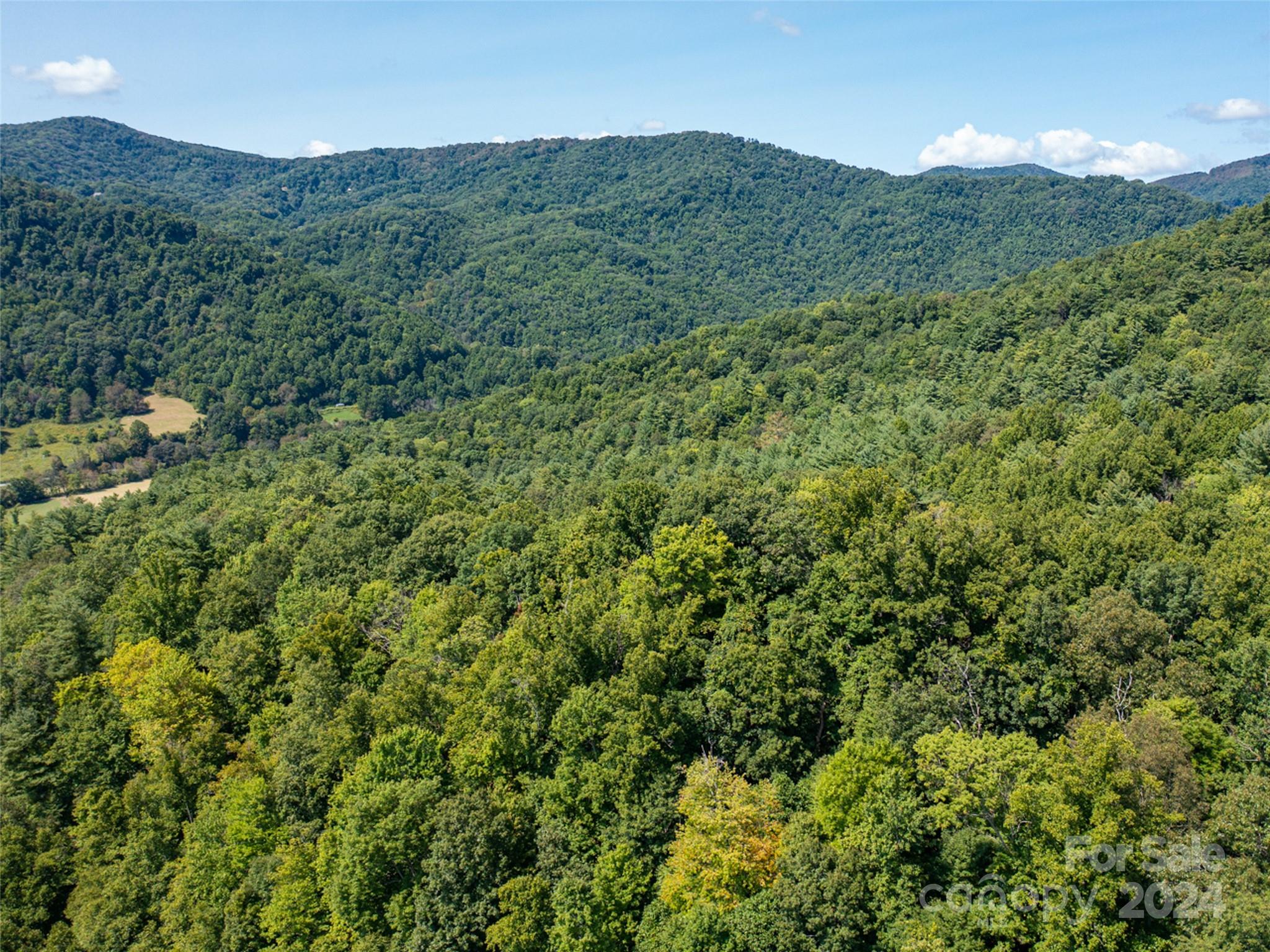 0 Meadow Fork School Road Hot Springs, NC 28743 - Photo 14 of 25