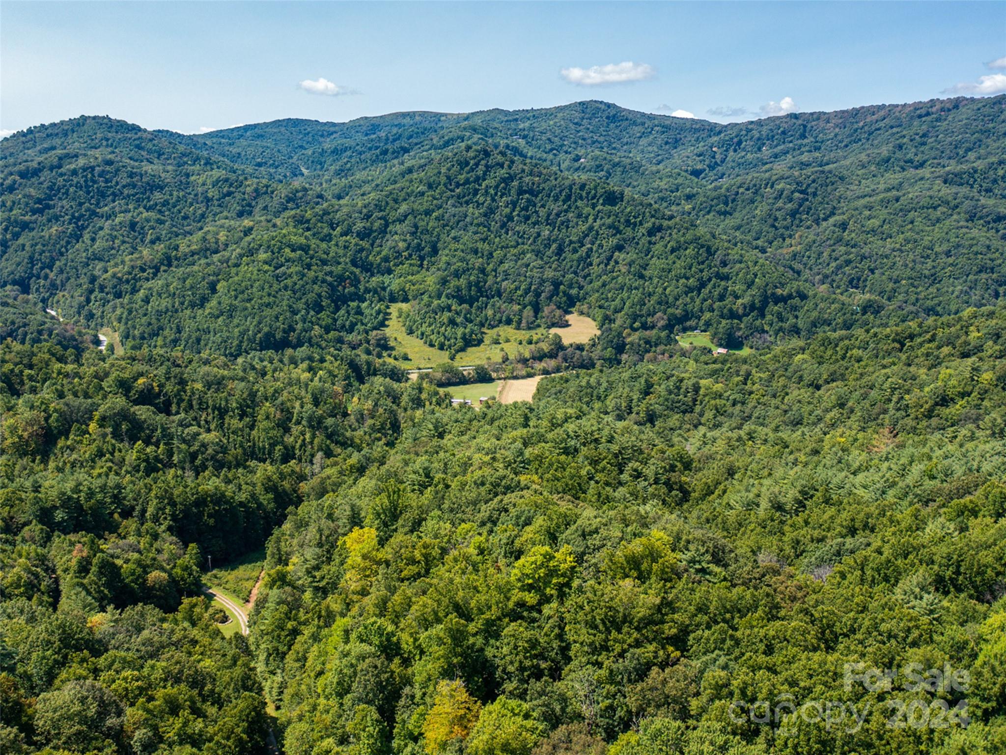 0 Meadow Fork School Road Hot Springs, NC 28743 - Photo 15 of 25