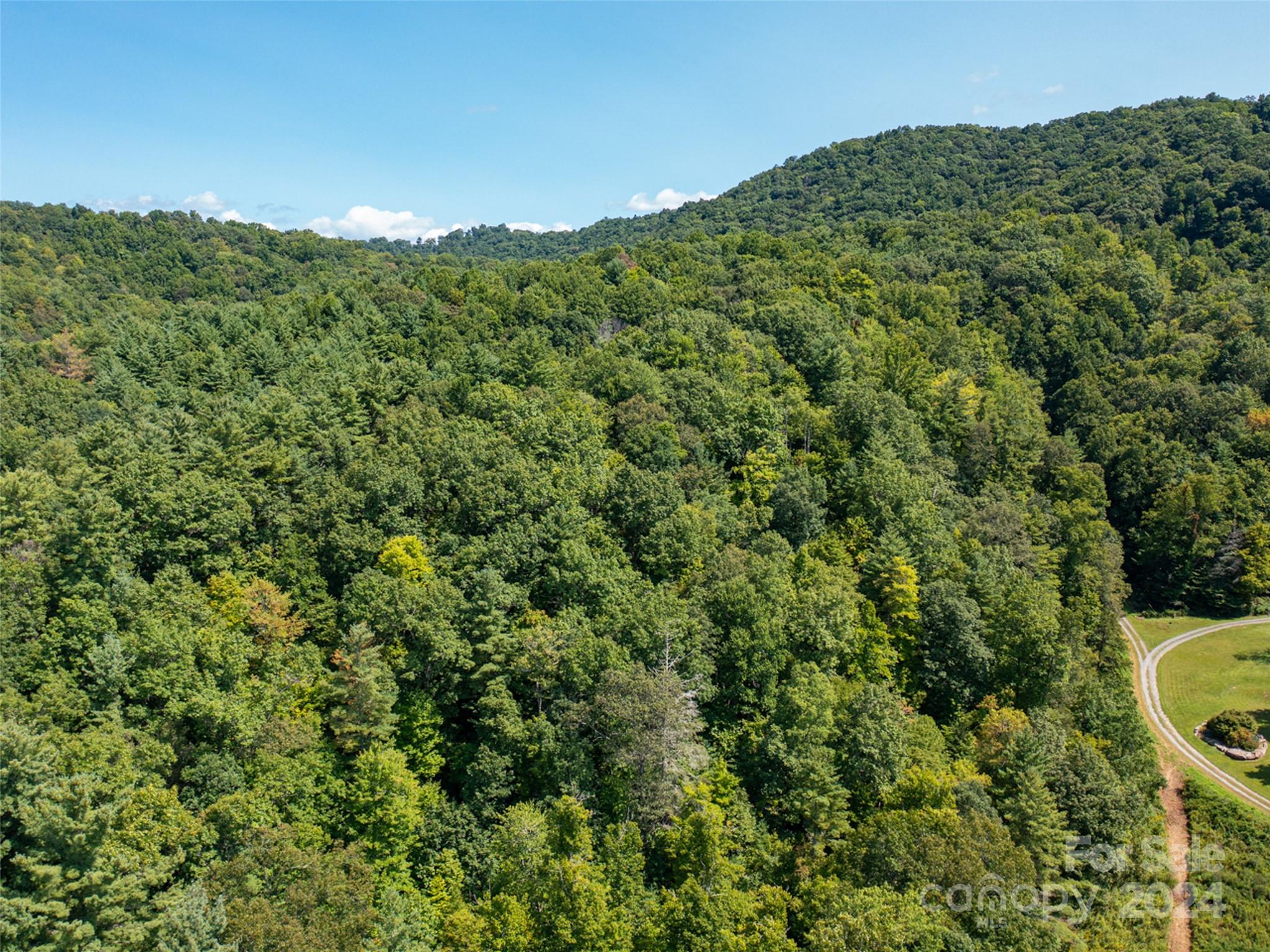 0 Meadow Fork School Road Hot Springs, NC 28743 - Photo 16 of 25