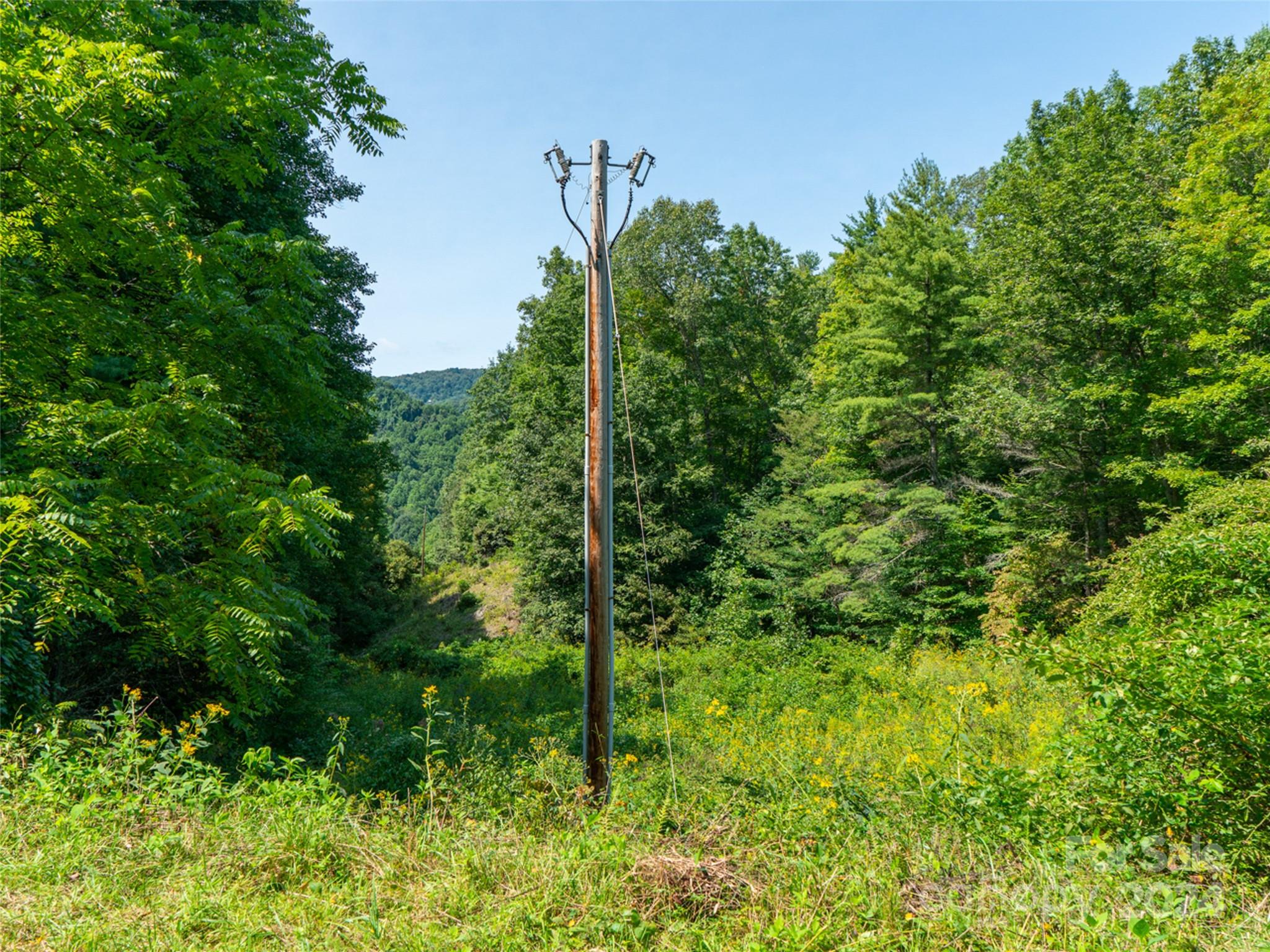0 Meadow Fork School Road Hot Springs, NC 28743 - Photo 18 of 25