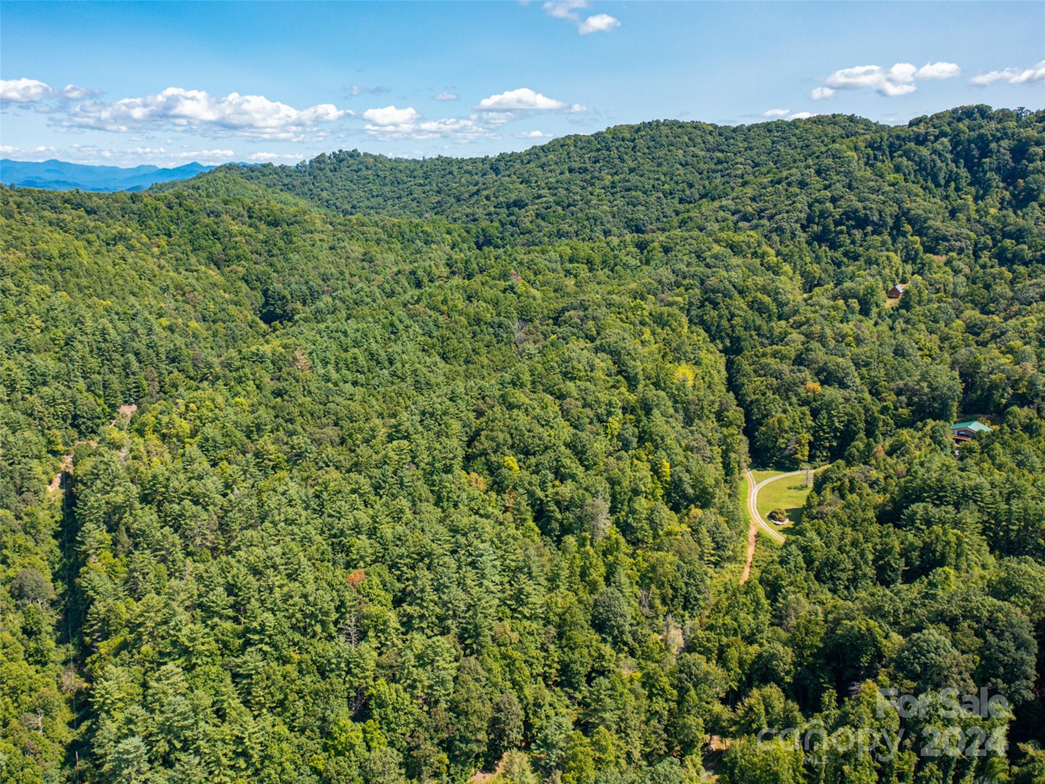 0 Meadow Fork School Road Hot Springs, NC 28743 - Photo 2 of 25