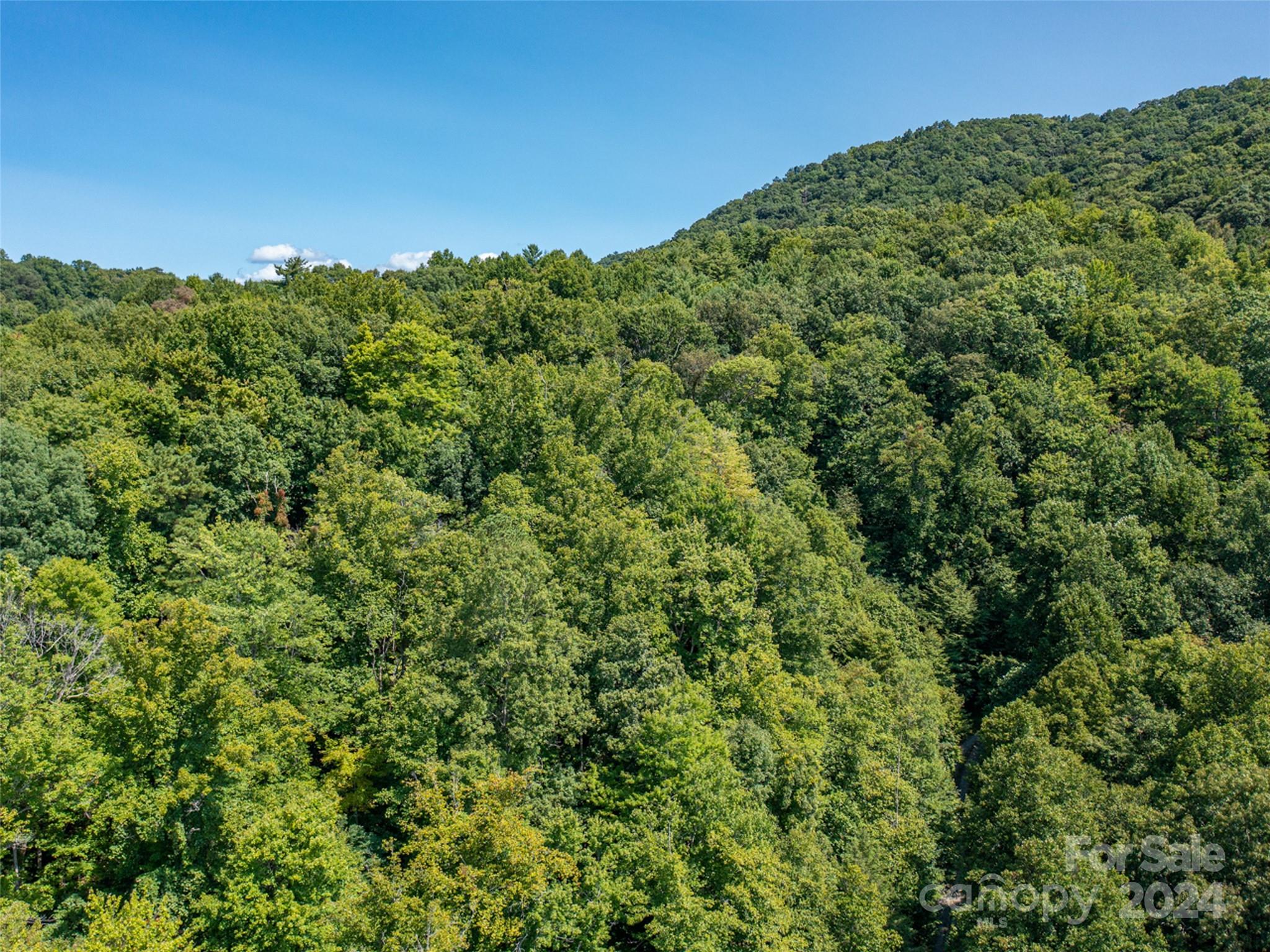 0 Meadow Fork School Road Hot Springs, NC 28743 - Photo 21 of 25