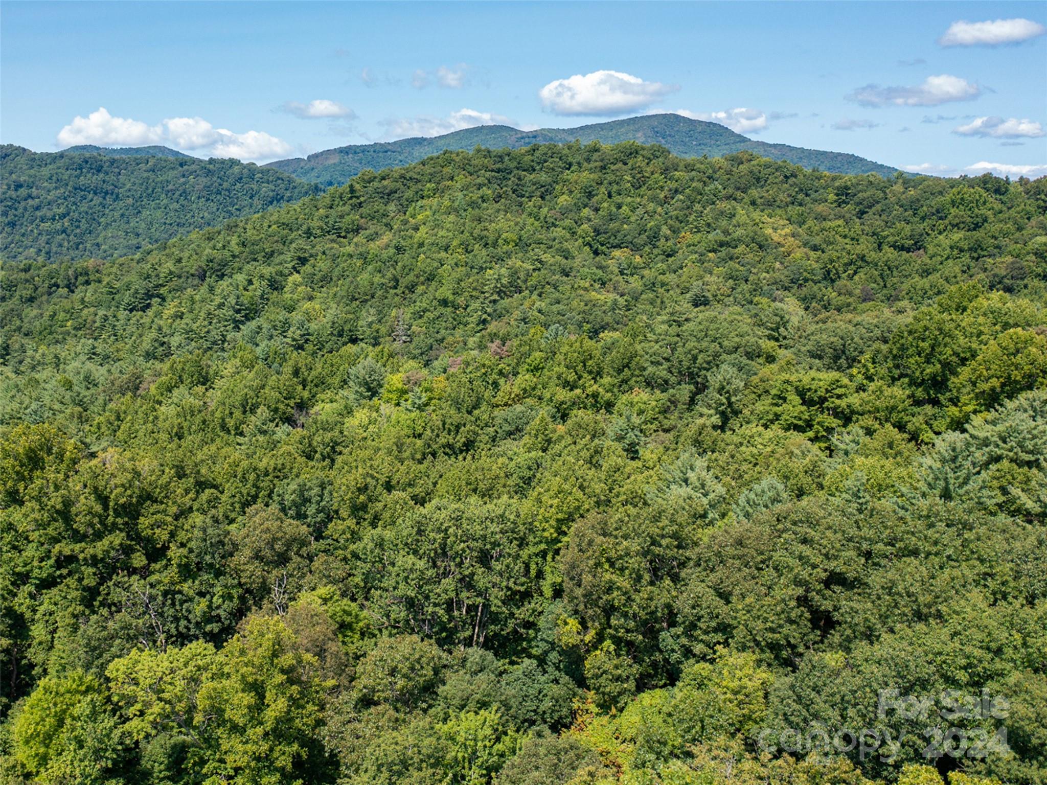 0 Meadow Fork School Road Hot Springs, NC 28743 - Photo 22 of 25