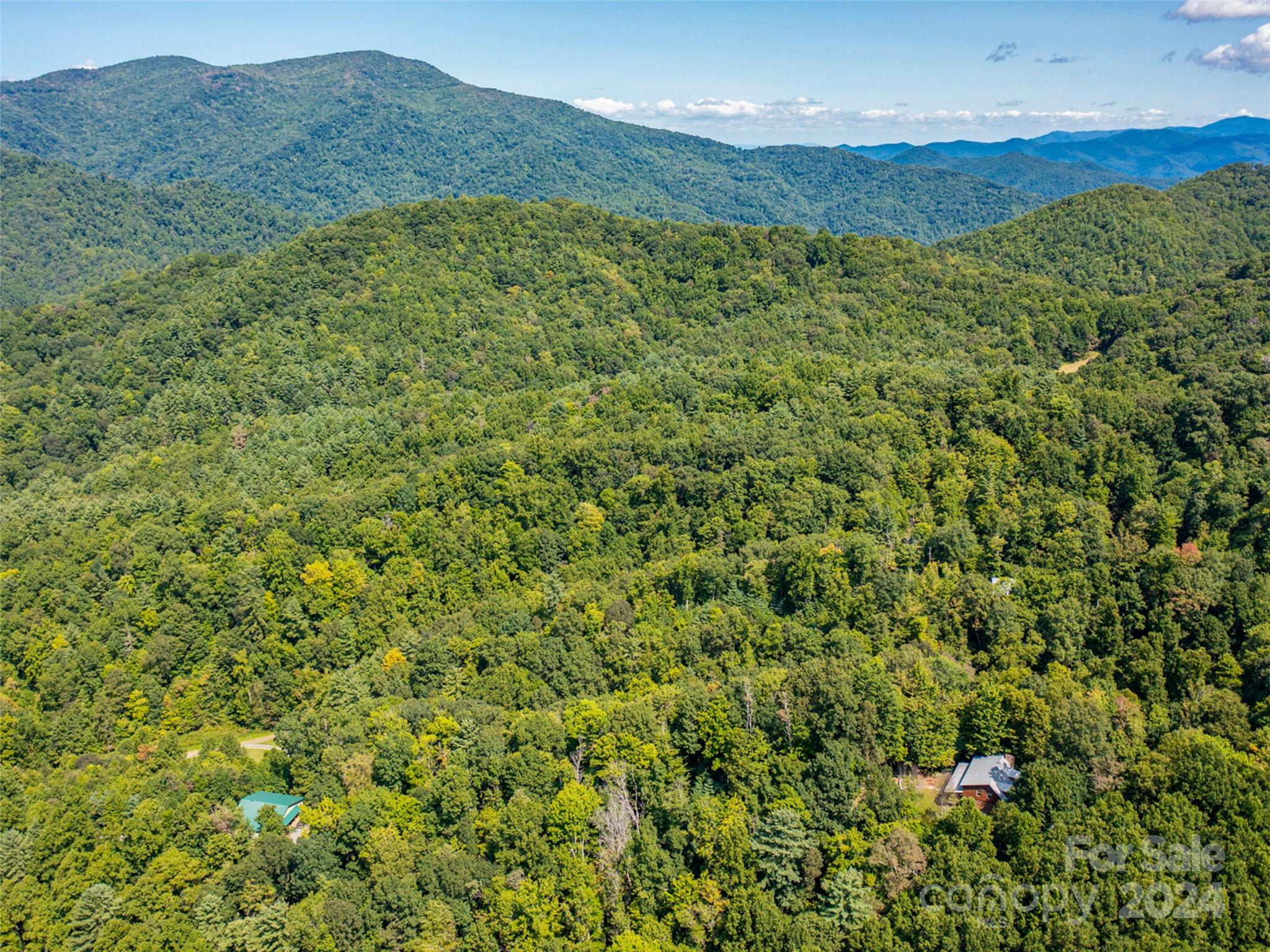 0 Meadow Fork School Road Hot Springs, NC 28743 - Photo 23 of 25