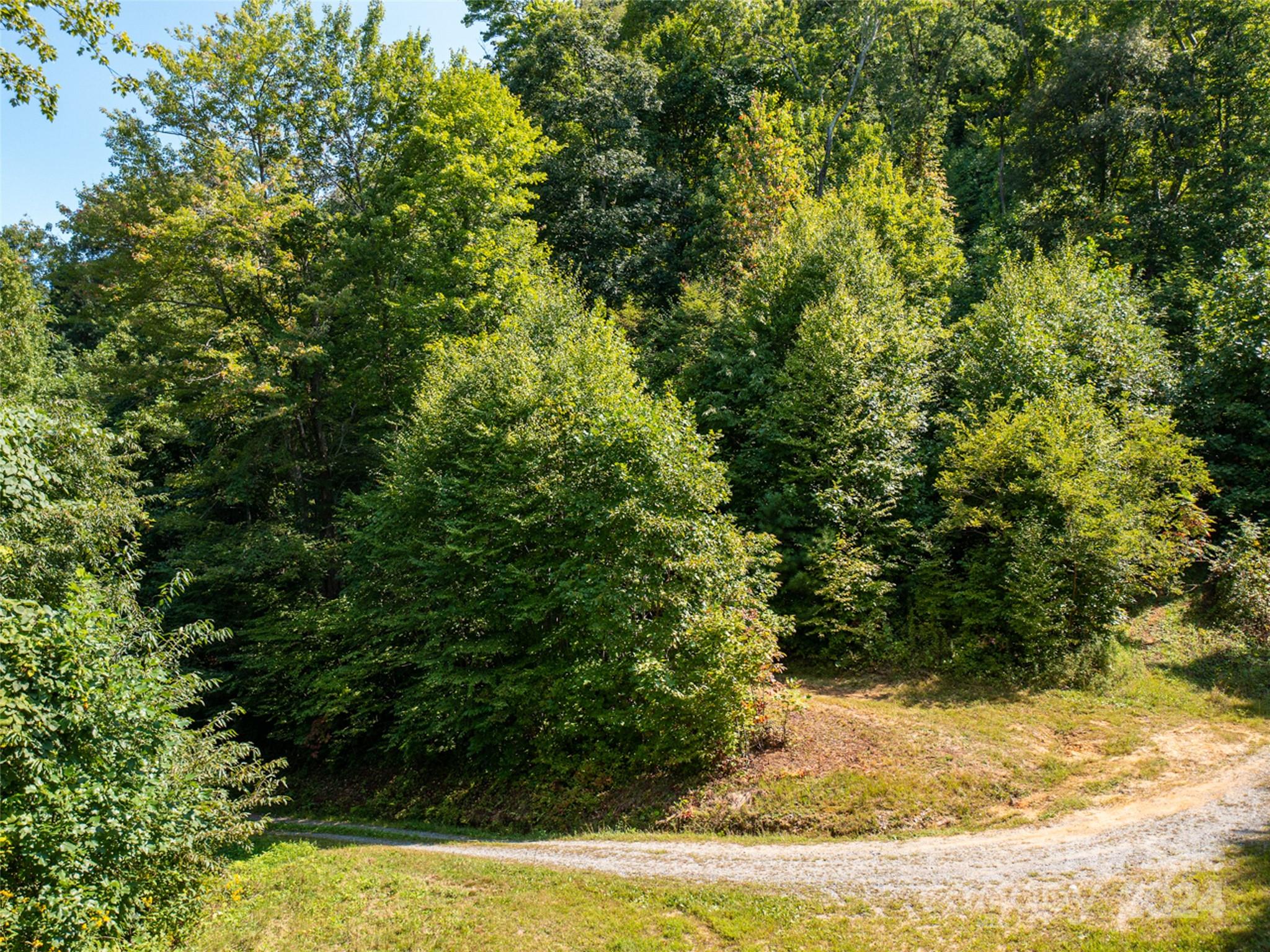 0 Meadow Fork School Road Hot Springs, NC 28743 - Photo 5 of 25