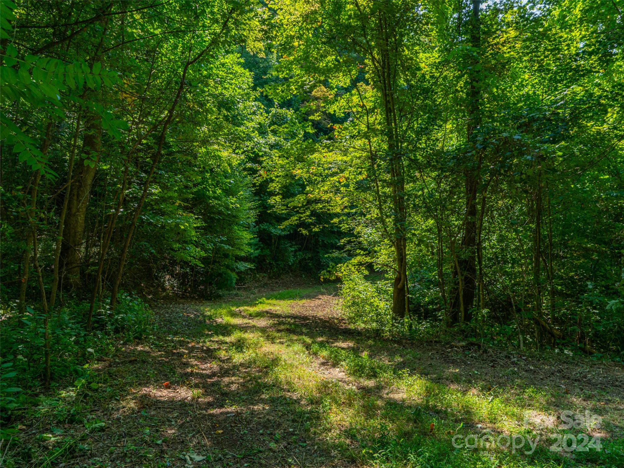 0 Meadow Fork School Road Hot Springs, NC 28743 - Photo 6 of 25