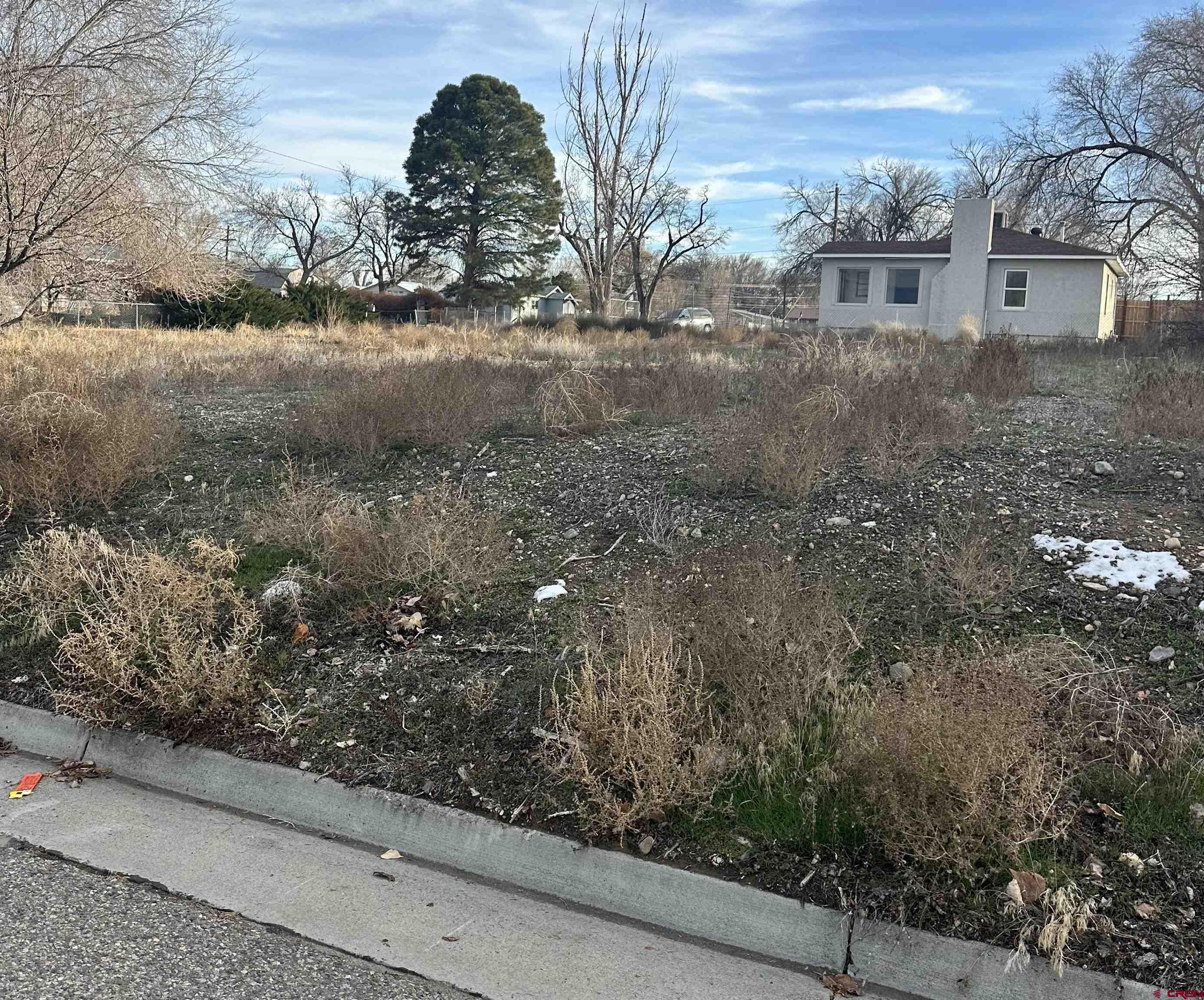 a view of a dry yard with wooden fence