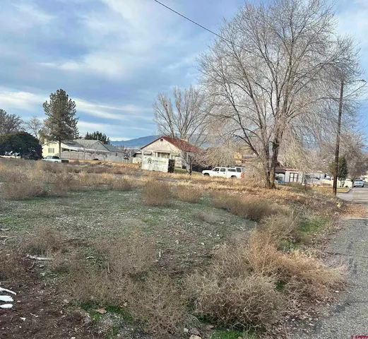 a view of street view with large trees