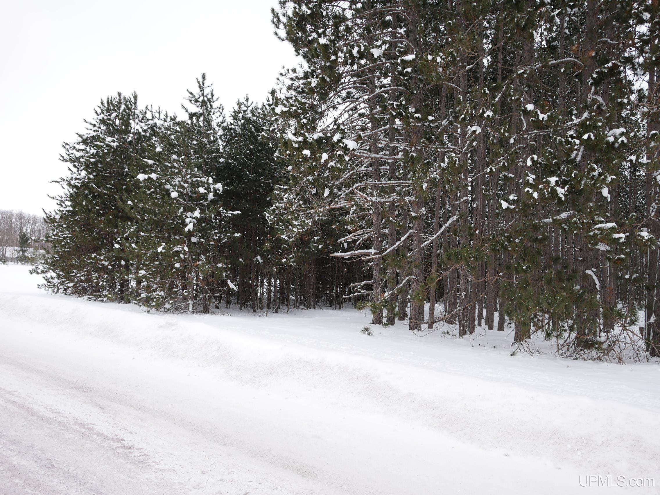 Parcel B Liminga Road Atlantic Mine, MI 49905 - Photo 12 of 22 Gallery Image 12