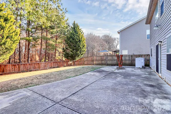 a view of backyard and tree