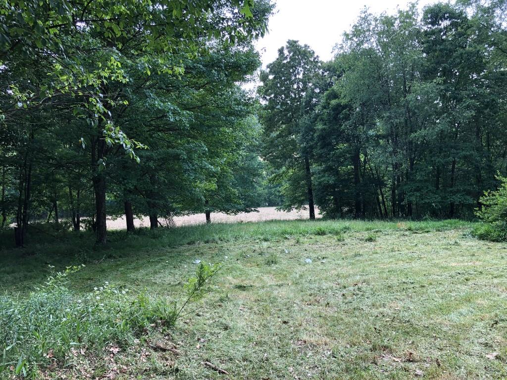 149 Shearer Road Chicora, PA 16025 - Photo 3 of 11 Gallery Image 3