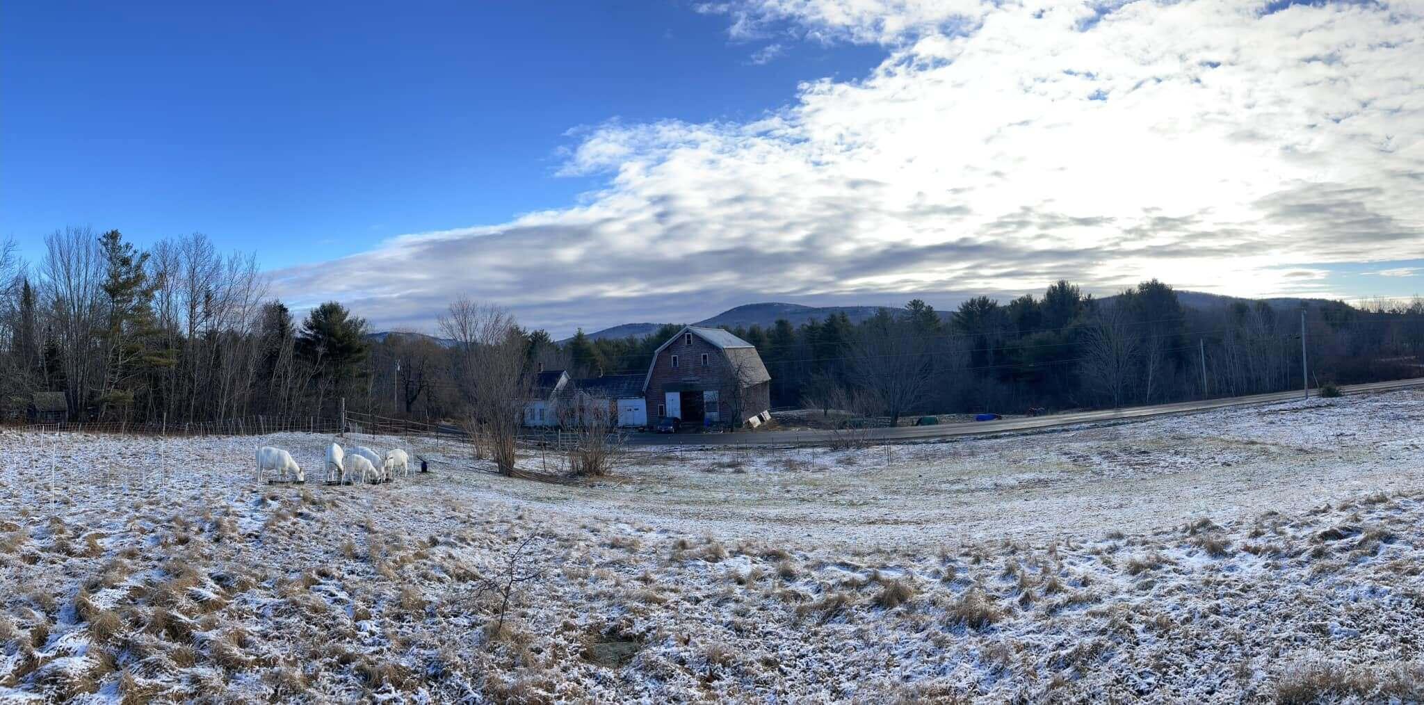 314 Davis Road Union, ME 04862 - Photo 30 of 31 goatsPano