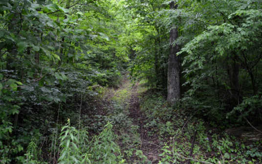 16-ac Parks Road Ellijay, GA 30540 - Photo 1 of 1 Main View