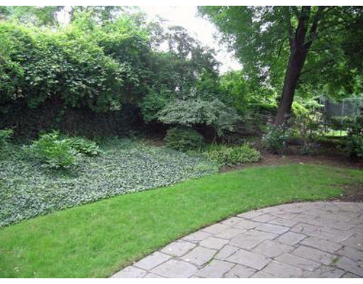 73 Welland Road Brookline, MA 02445 - Photo 12 of 12 a view of a yard with plants and a bench