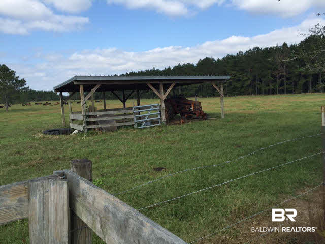 28661 Three Mile Road Elberta, AL 36530 - Photo 6 of 30