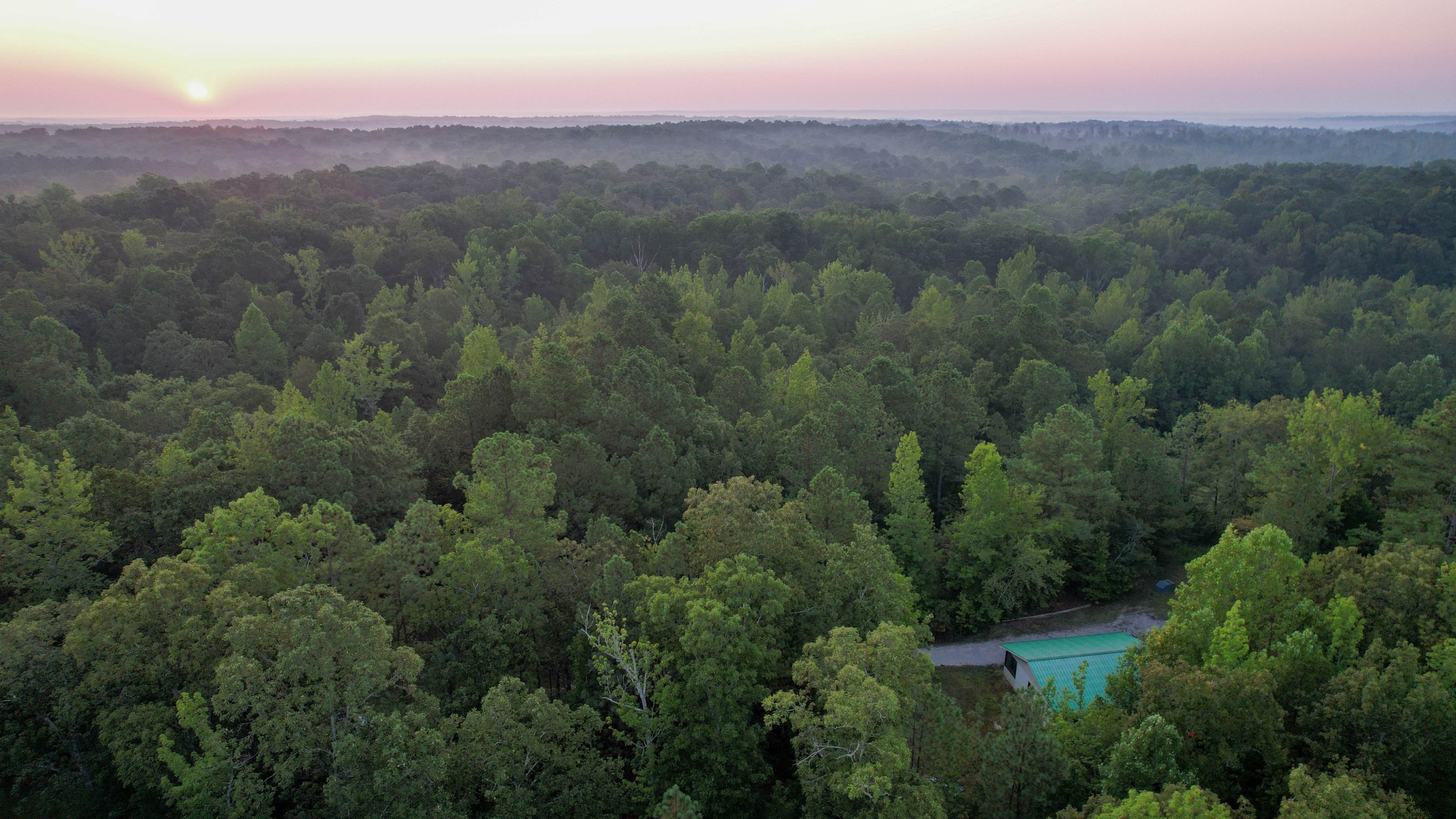 1722 Park Road Holladay, TN 38341 - Photo 14 of 52 an aerial view of forest