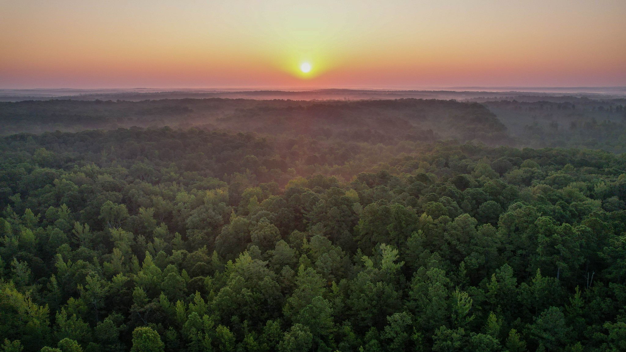 1722 Park Road Holladay, TN 38341 - Photo 19 of 52 a view of a city and sunset