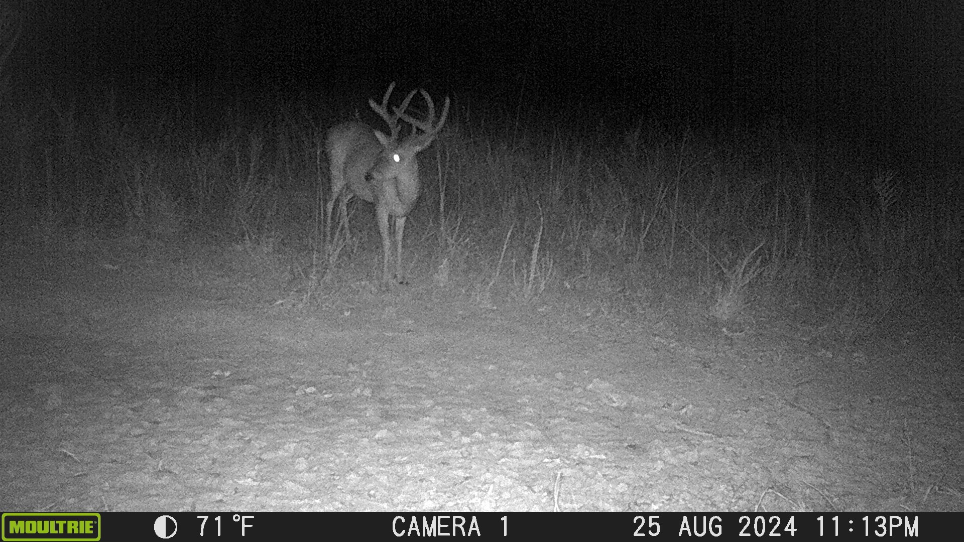 1722 Park Road Holladay, TN 38341 - Photo 2 of 52 a view of a room