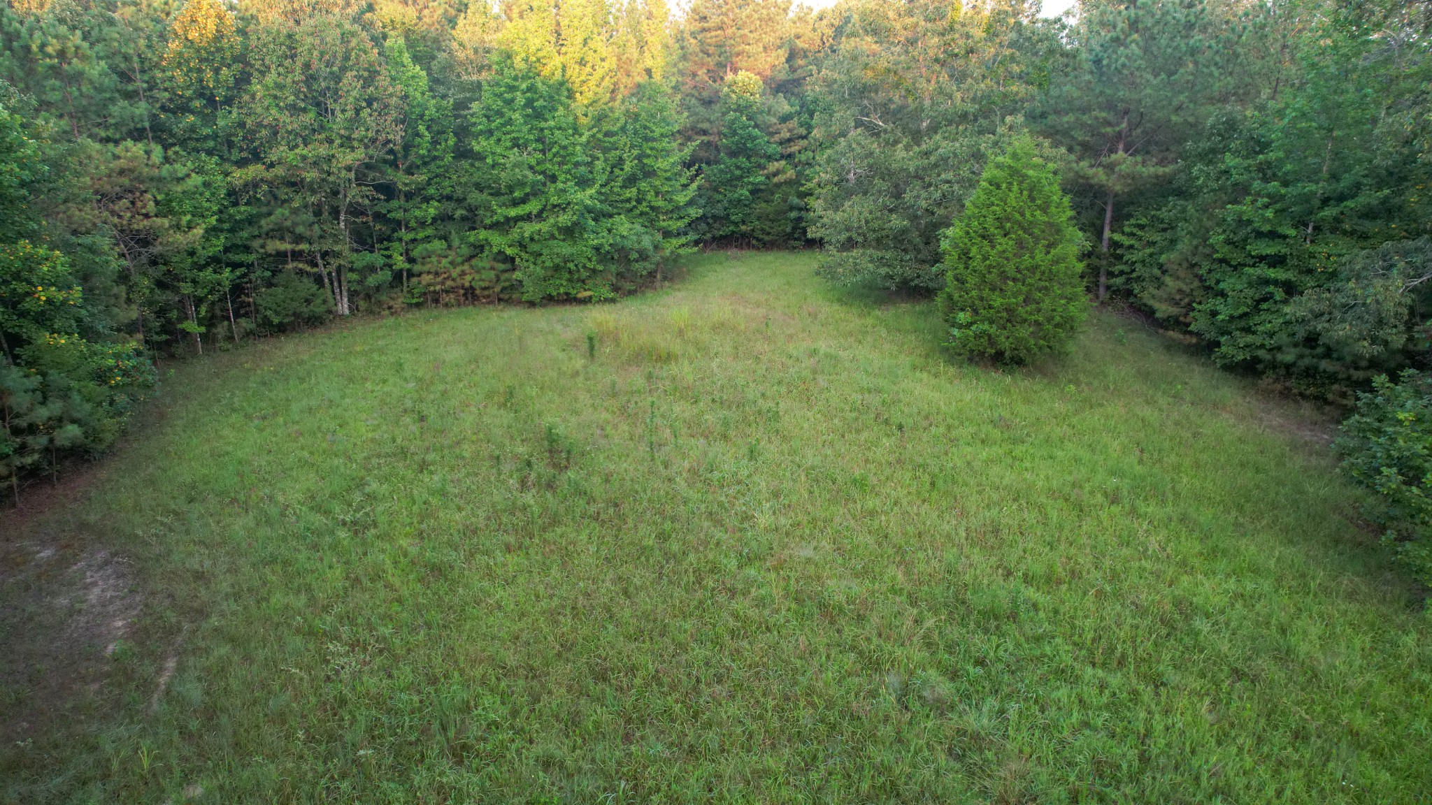 1722 Park Road Holladay, TN 38341 - Photo 25 of 52 a view of a green field with lots of bushes