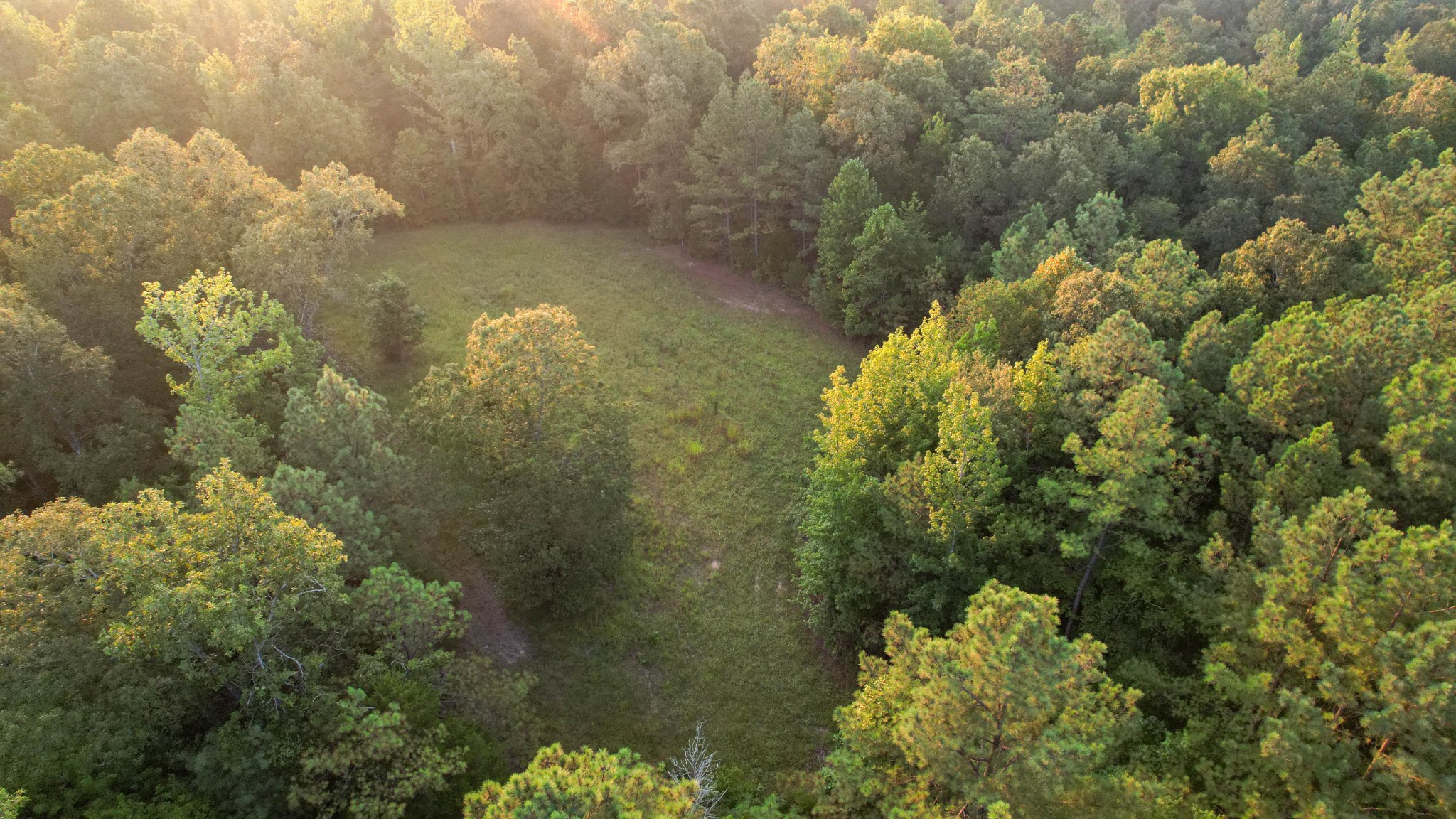 1722 Park Road Holladay, TN 38341 - Photo 27 of 52 a view of a lake