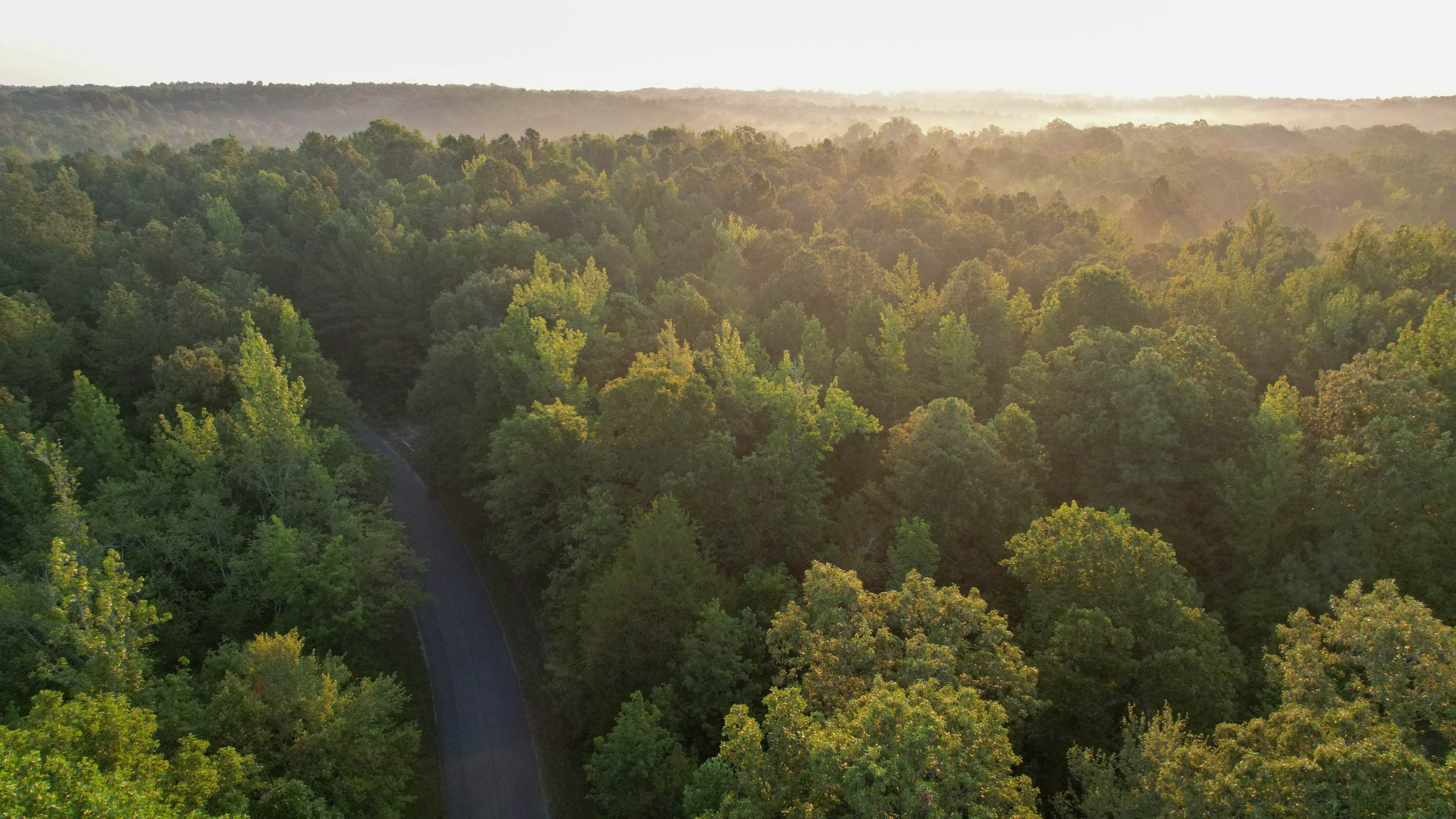 1722 Park Road Holladay, TN 38341 - Photo 29 of 52 an aerial view of mountain with trees