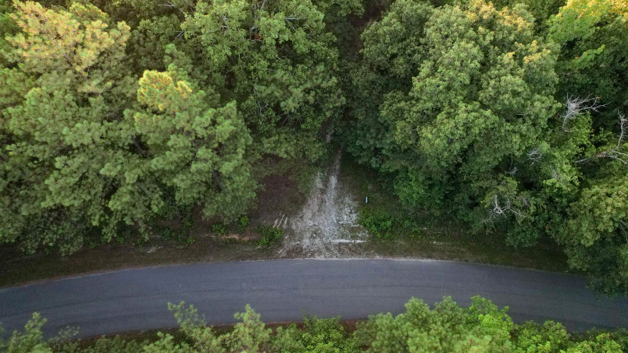 1722 Park Road Holladay, TN 38341 - Photo 30 of 52 a view of outdoor space and yard