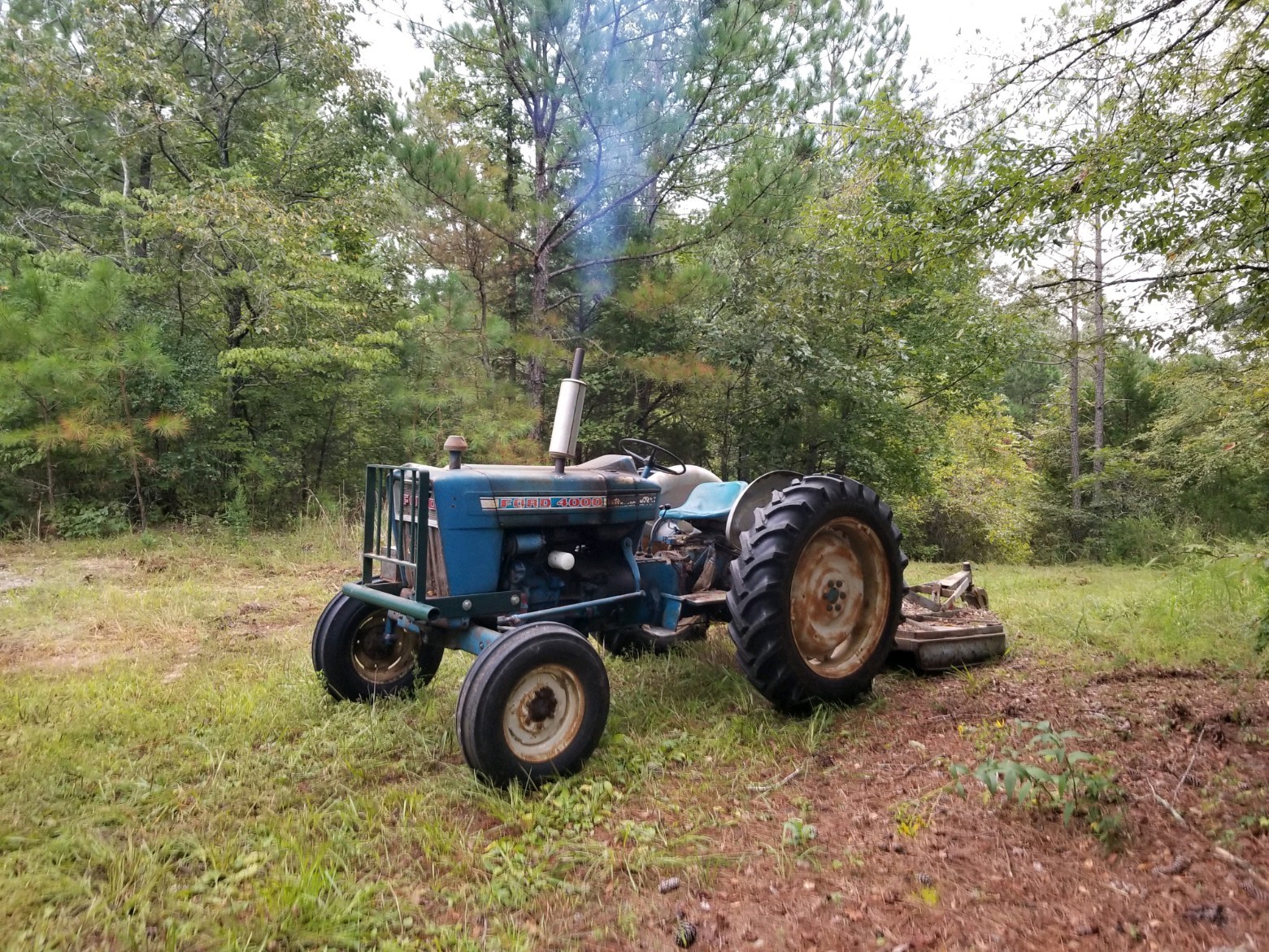 1722 Park Road Holladay, TN 38341 - Photo 36 of 52 a view of back yard with car parked
