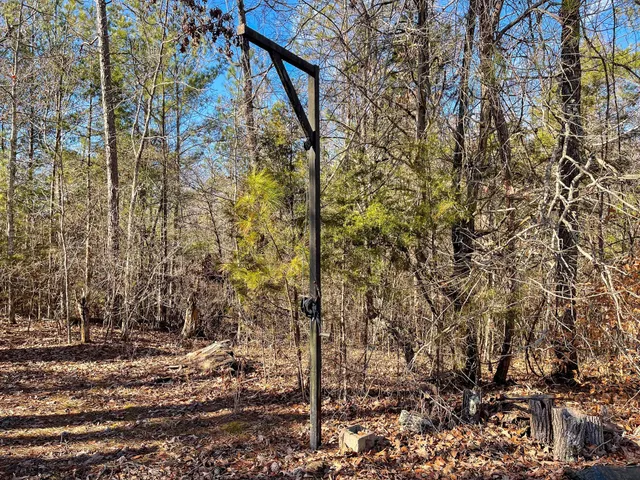 a view of a back yard