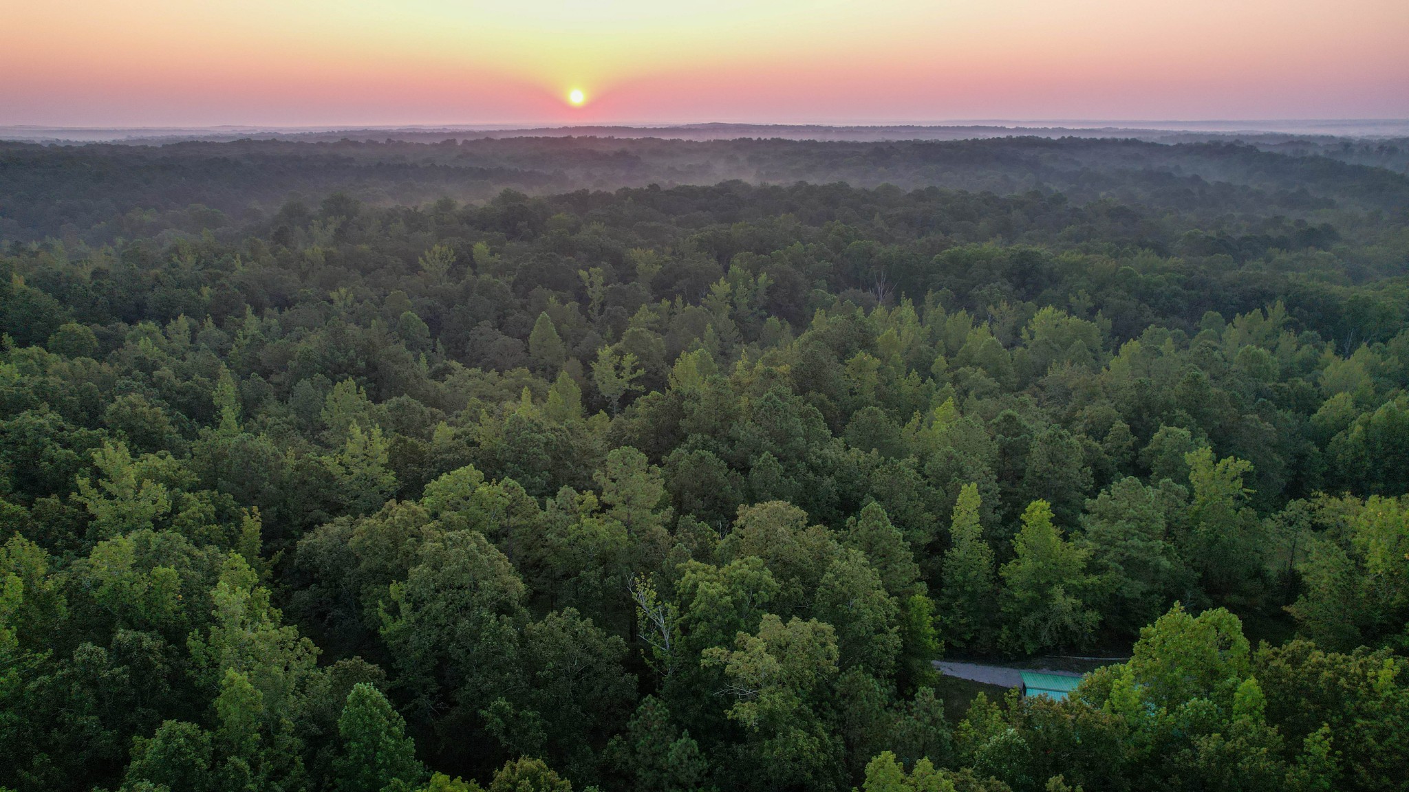 1722 Park Road Holladay, TN 38341 - Photo 5 of 52 an aerial view of residential houses with outdoor space and trees