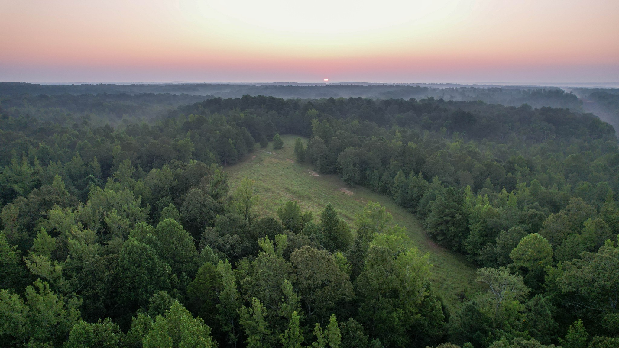 1722 Park Road Holladay, TN 38341 - Photo 6 of 52 a view of a city with lush green forest