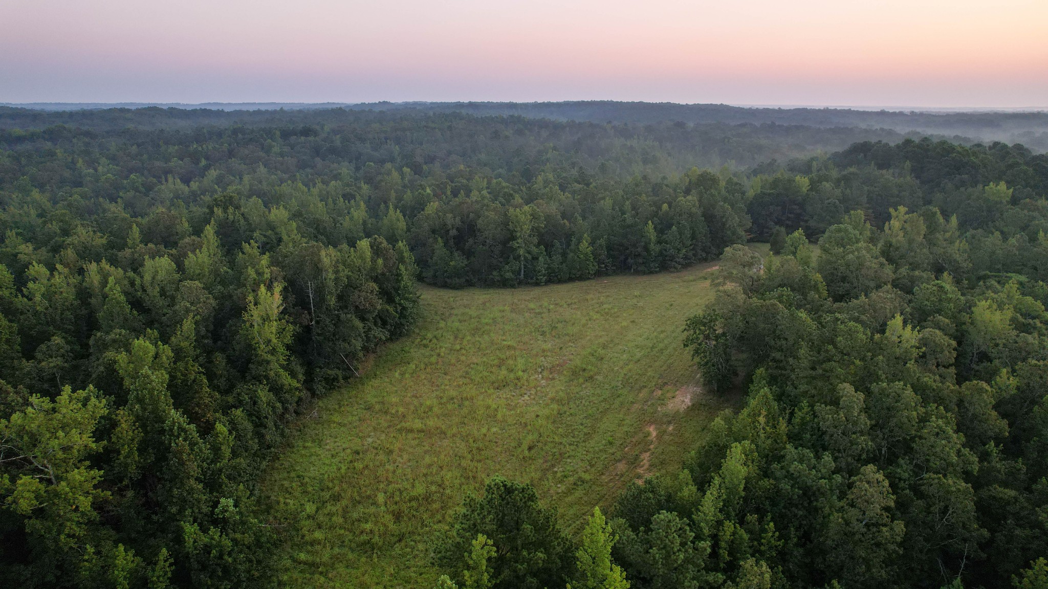 1722 Park Road Holladay, TN 38341 - Photo 7 of 52 a view of a field with an ocean