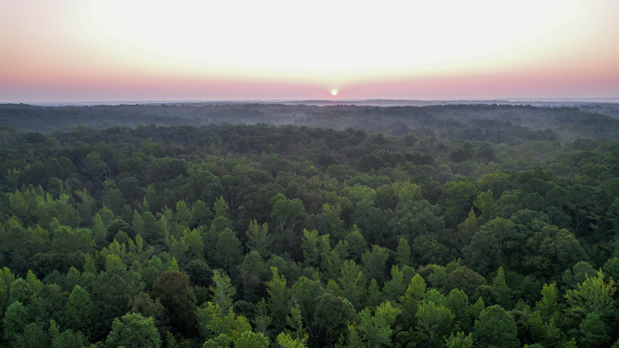 1722 Park Road Holladay, TN 38341 - Photo 8 of 52 an aerial view of a houses with a street