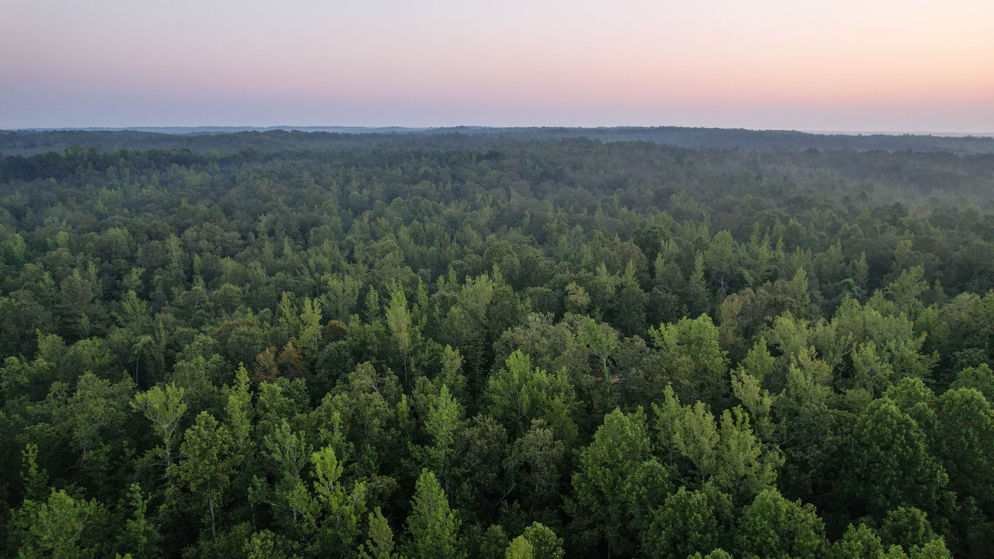 1722 Park Road Holladay, TN 38341 - Photo 9 of 52