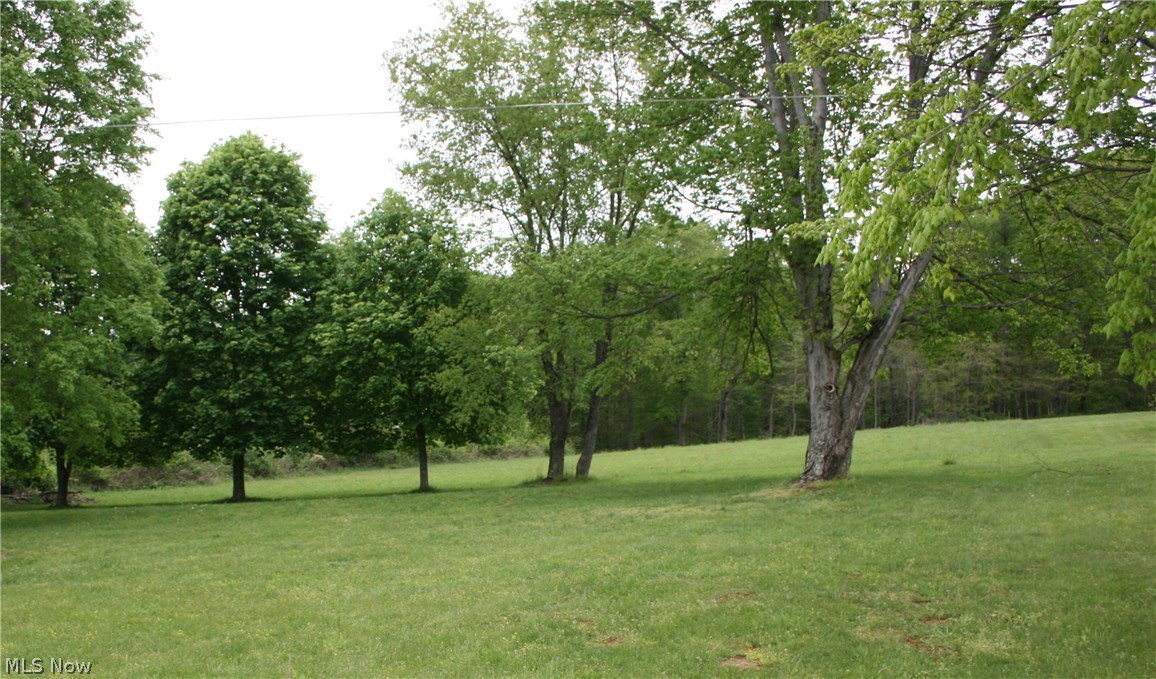 9315 Frazeysburg Road Dresden, OH 43821 - Photo 8 of 13 Gallery Image 8