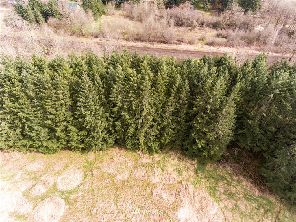 1439 Hining Road Winlock, WA 98596 - Photo 9 of 15