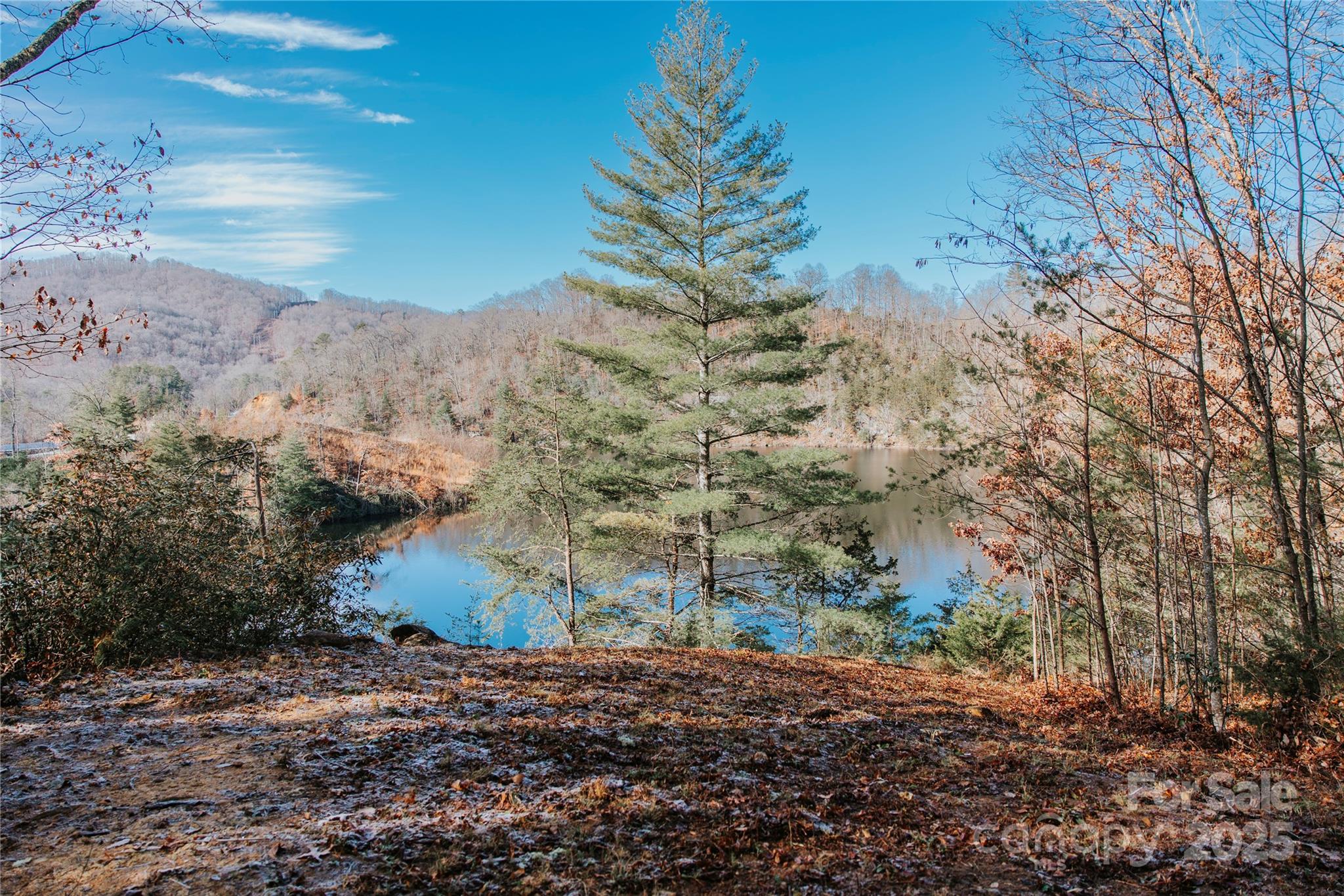 134 Dars Lane, Unit 7 Tuckasegee, NC 28783 - Photo 2 of 7 a view of a yard with a tree