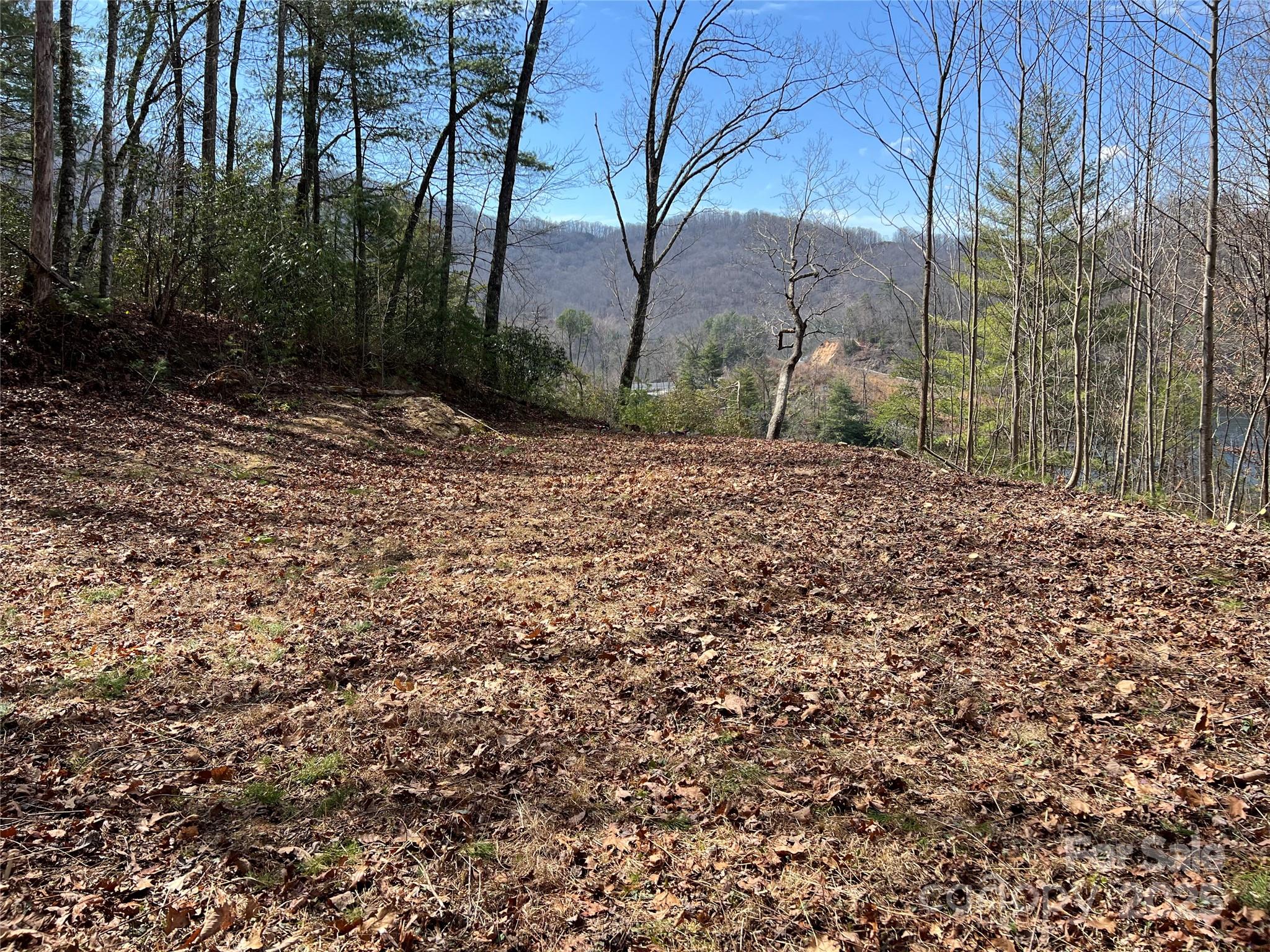 134 Dars Lane, Unit 7 Tuckasegee, NC 28783 - Photo 4 of 7 a view of a yard with plants and trees