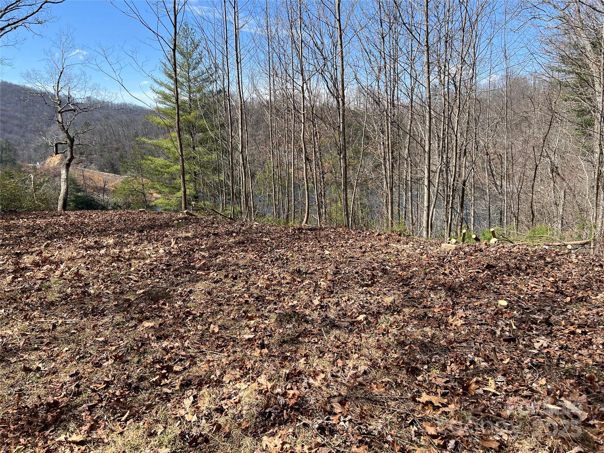 134 Dars Lane, Unit 7 Tuckasegee, NC 28783 - Photo 6 of 7 a view of a yard with plants and trees