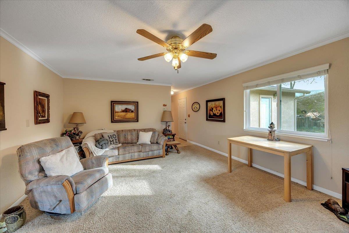 342 Poker Flat Road Copperopolis, CA 95228 - Photo 16 of 95