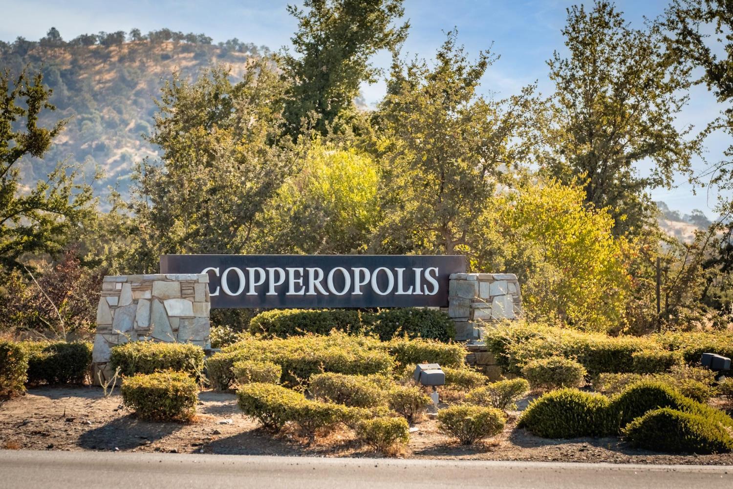 342 Poker Flat Road Copperopolis, CA 95228 - Photo 88 of 95
