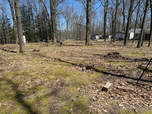 $40,000 | 11671 Oriole Drive, Lakeview, MI 48850