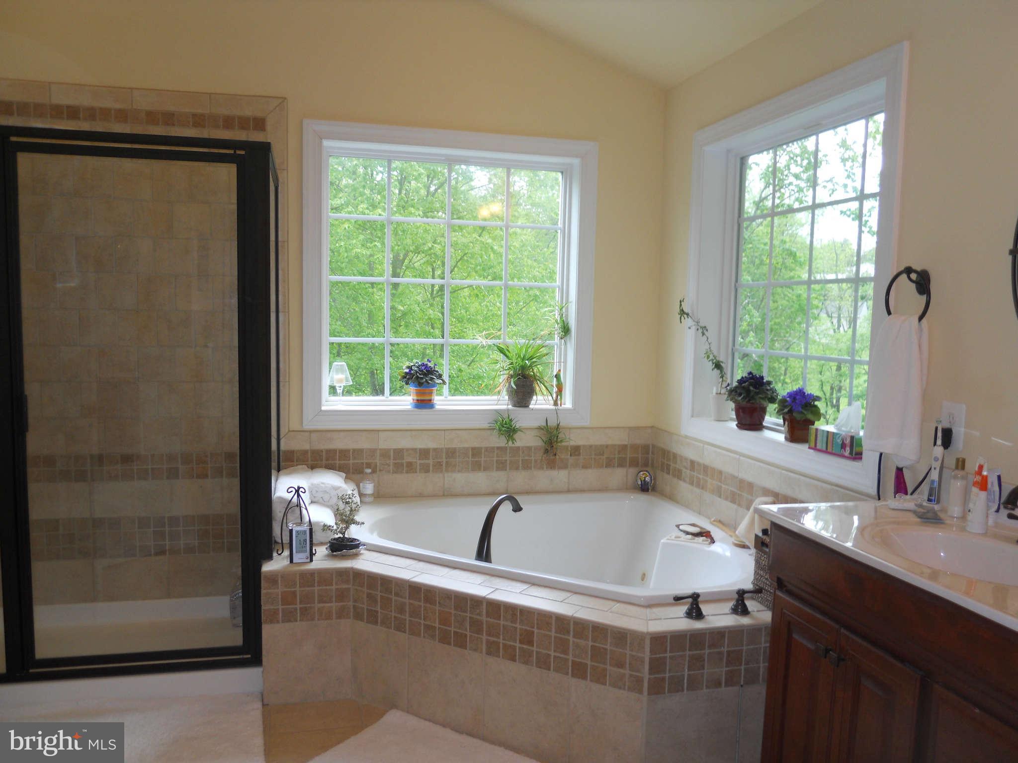 2888 Barrick Road Finksburg, MD 21048 - Photo 15 of 29 a bath tub sitting in a bathroom next to a window